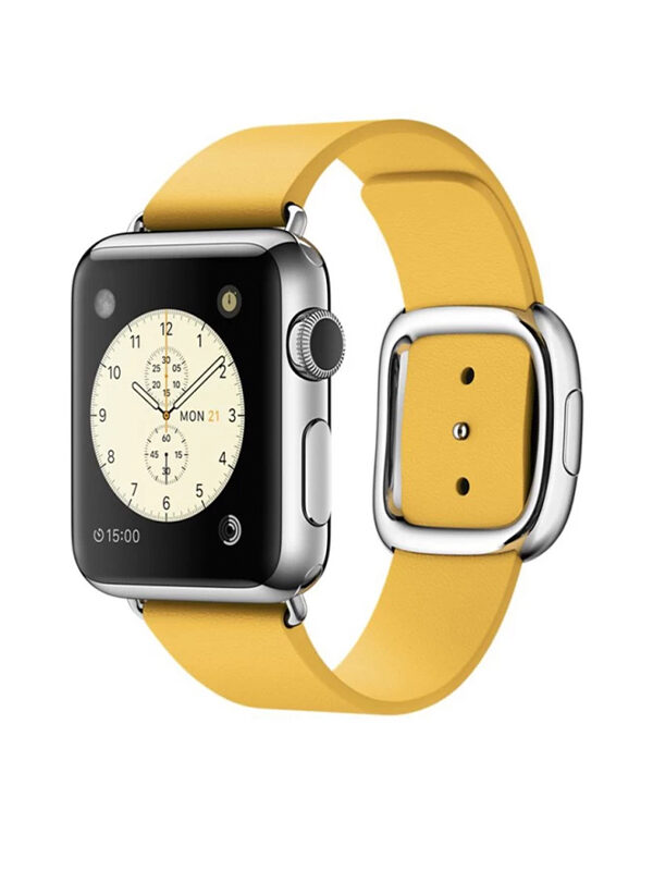 Modern Buckle Apple Watch