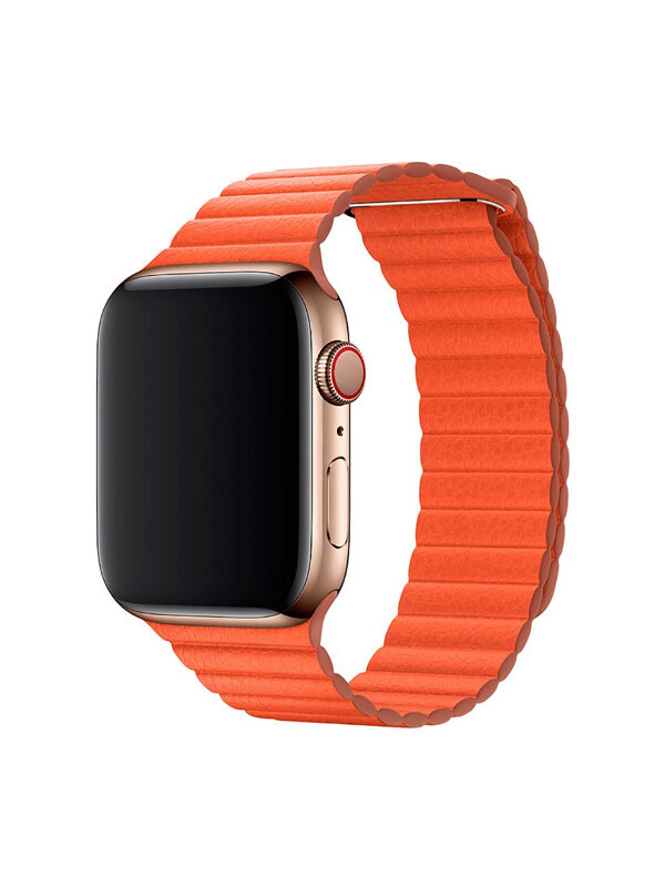 Apple Watch Series 6