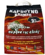 Πυρηνοκάρβουνο